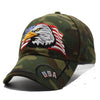 American Eagle Vintage Cap