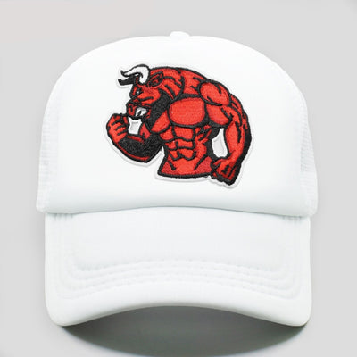 Vintage Chicago Bulls Cap