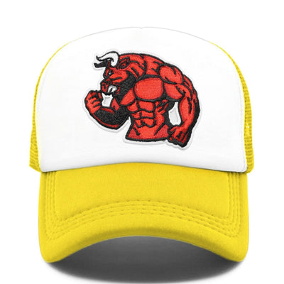 Vintage Chicago Bulls Cap