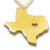 Texas Vintage Necklace