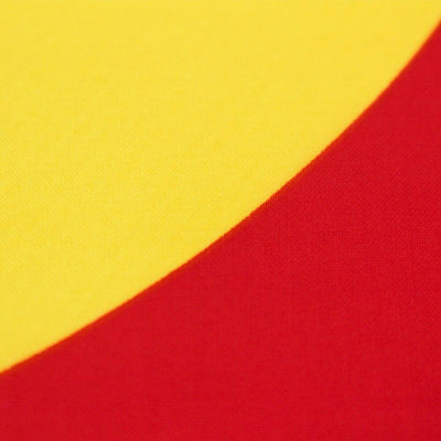 Colorado Vintage Flag