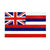 Hawaii Vintage Flag