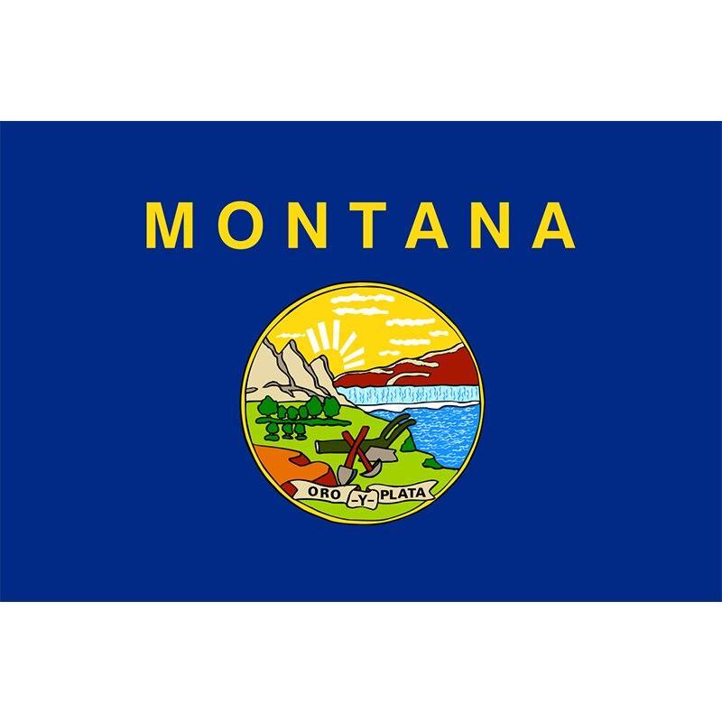 Montana Vintage Flag