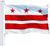 Washington D.C. Vintage Flag