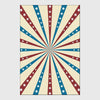 Vintage rugs USA